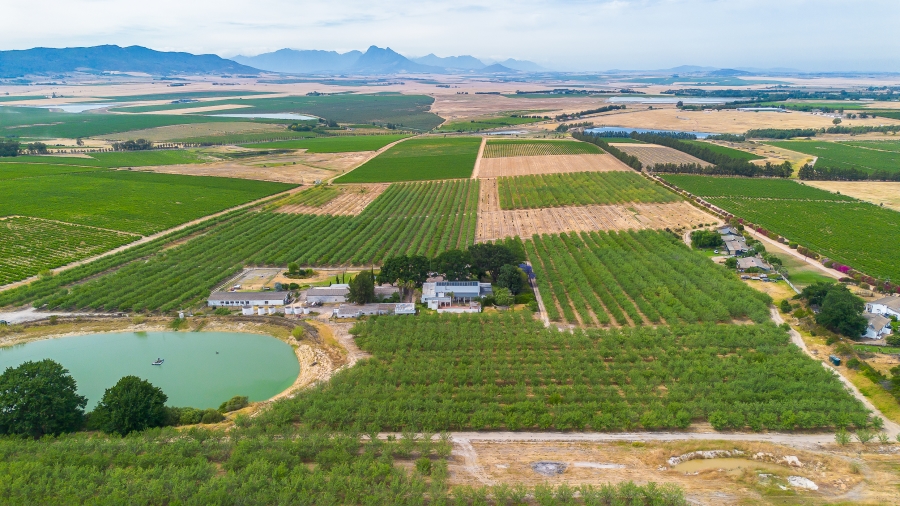 4 Bedroom Property for Sale in Paarl Rural Western Cape